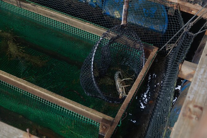 2 Hours Private Mangrove Tour Langkawi - Frequently Asked Questions