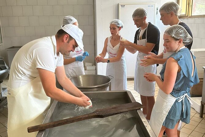 2 Hours Private Mozzarella Lesson With Tasting in Vico Equense - What to Expect
