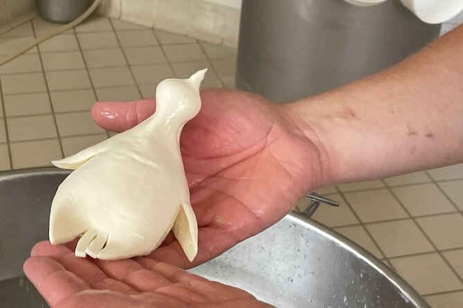 2 Hours Private Mozzarella Lesson With Tasting in Vico Equense - Cancellation Policy