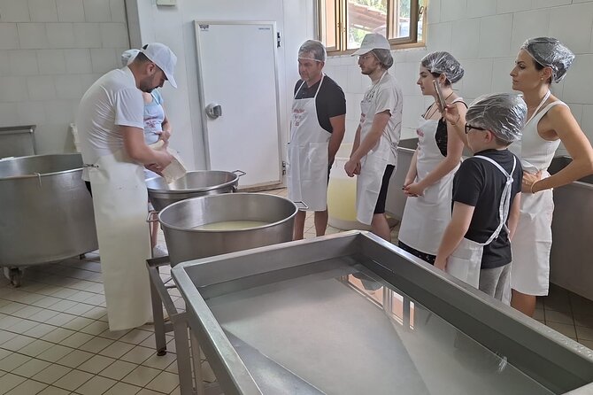 2 Hours Private Mozzarella Lesson With Tasting in Vico Equense - Pricing and Terms