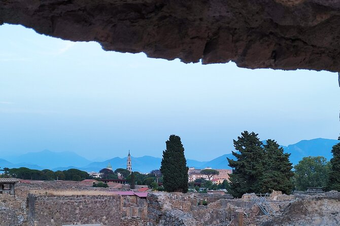 2 Hours Private Tour in Pompeii With Archaeologist - Tour Highlights