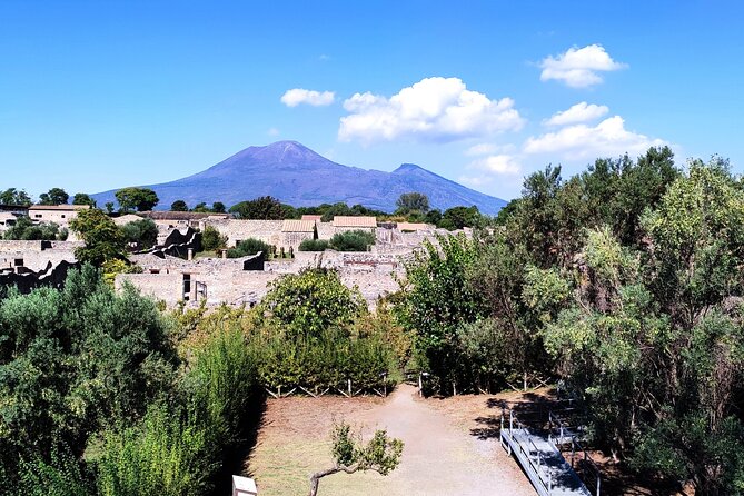 2 Hours Private Tour in Pompeii With Archaeologist - Fascinating Artifacts