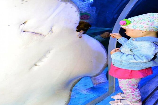 2 Hours Red Sea Wonders Tour at Hurghada Grand Aquarium - Meeting and Pickup Details