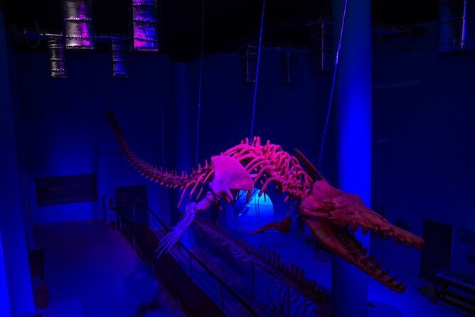 2 Hours Red Sea Wonders Tour at Hurghada Grand Aquarium - Additional Information