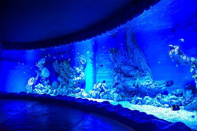 2 Hours Red Sea Wonders Tour at Hurghada Grand Aquarium - Pricing Details