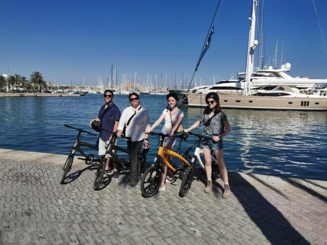 2 Hours Sightseeing E-Bike Tour in Palma De Mallorca - Experience Description
