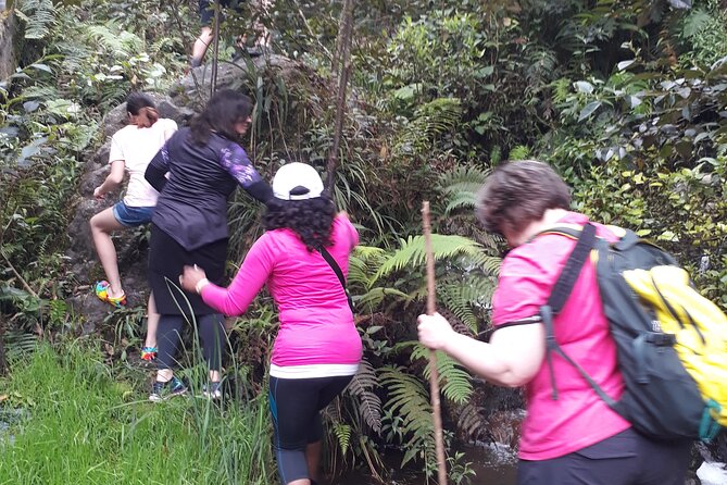2 Hours Small-Group Horseback Riding Experience in Banos - Experience Details