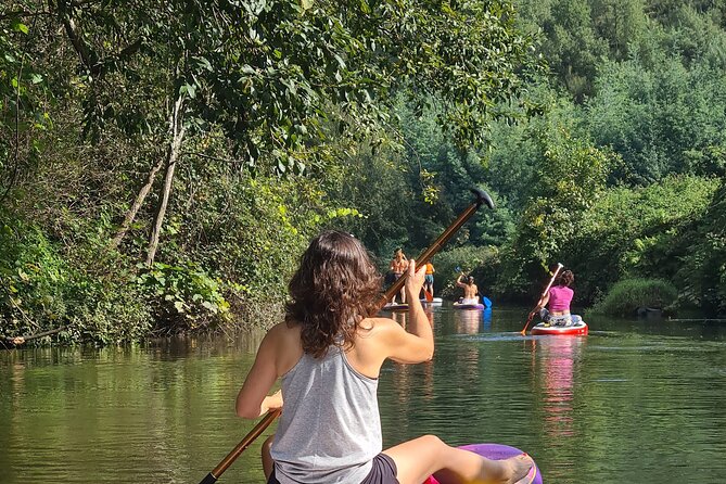 2 Hours SUP Activity on Arda River - The Sum Up