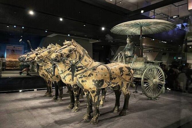 2 Hours Terracotta Warriors Visit in China - Good To Know