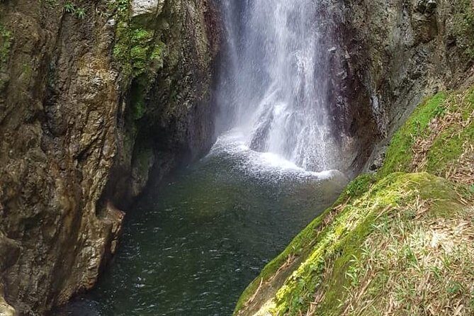 2 Hours Trekking Waterfall Tour in Tobago - Good To Know