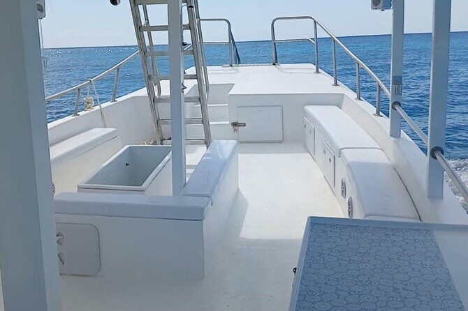 2 Hours Turtle Feeding, Shipwreck & Reef Snorkeling Tour Barbados - Who Will Love This Tour?