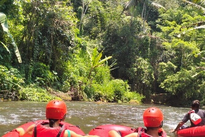 2 Hours Ubud River Tubing - What to Expect from Your Ubud River Tubing Adventure