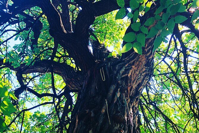 2-hr Day or Night PRIVATE Haunted Old Louisville Walk (1-15 pp) - Final Thoughts