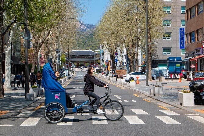 2 hr / Seoul Private Pedicab Tour : Bukchon Anguk Hanok Village - Who Should Book This Tour?