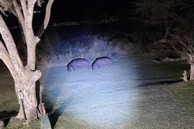 2 HR Stargazing in Victoria Falls & Zambezi National Park by 4x4 - The Sum Up