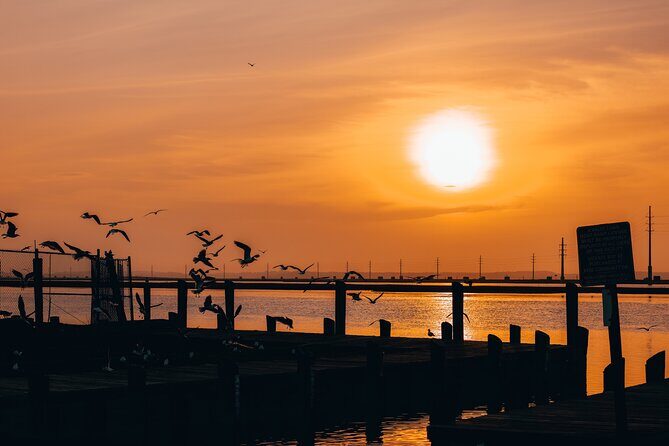 2-Hr Sunset Ultimate Party Pontoon Rental in Chincoteague Island - Introduction