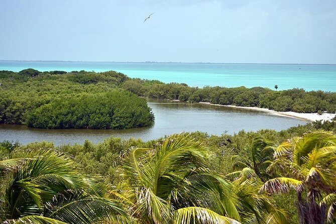 2 Islands Tour - Isla Contoy and Isla Mujeres from Playa del Carmen - Final Thoughts