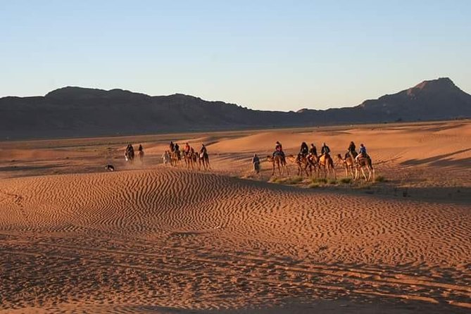 2 Luxury Days Tour to Desert Zagora From Marrakech With a Group - Good To Know
