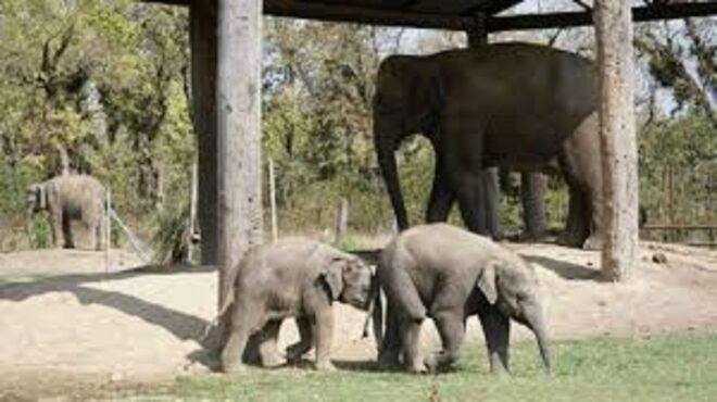 2 N 3 Days Chitwan Tour Package From Pokhara or Kathmandu - Itinerary - Day 1