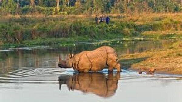 2 N 3 Days Chitwan Tour Package From Pokhara or Kathmandu - Inclusions