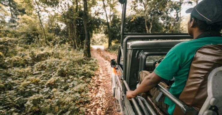 2 Night 3 Day Chitwan Jungle Safari Tour Package - Itinerary Details