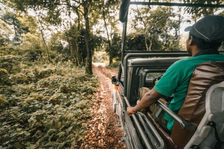 2 Night 3 Day Chitwan Jungle Safari Tour Package - Exciting Jungle Safari Experience