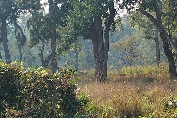 2 Night 3 Days Chitwan Jungle Safari Tour from Kathmandu - Exploring the 2 Night 3 Days Chitwan Jungle Safari Tour from Kathmandu
