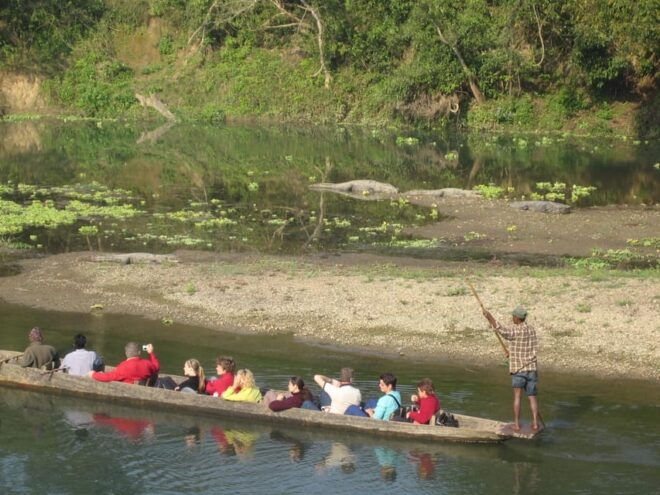 2 Night 3 Days Chitwan Jungle Safari Tour - Travel Tips for Visitors