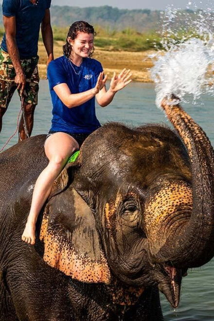 2 Night 3 Days Chitwan National Park/From Kathmandu/Pokhra - Important Travel Information