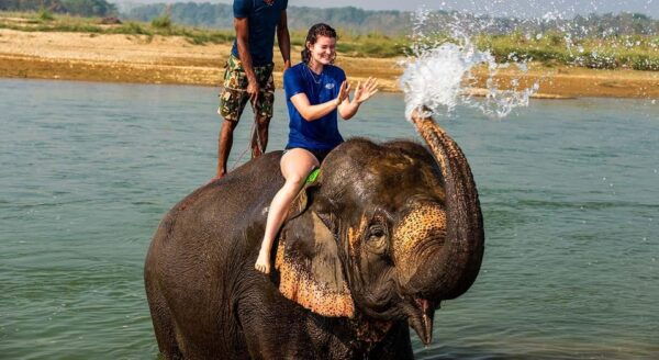 2 Night 3 Days Chitwan National Park/From Kathmandu/Pokhra - Best Time to Visit