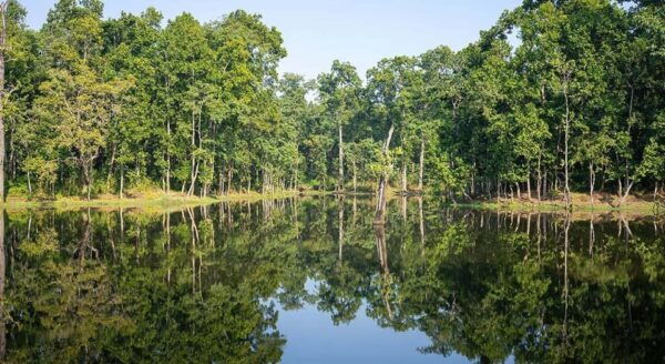 2 Night 3 Days Chitwan National Park/From Kathmandu/Pokhra - Questions You May Have