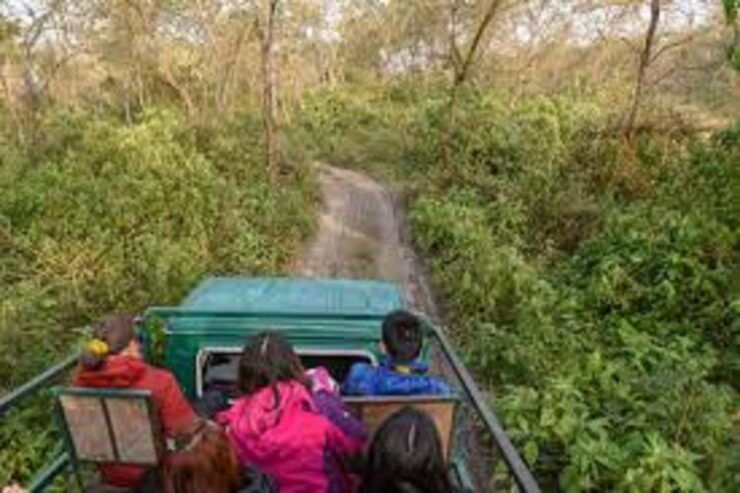 2 Night 3 Days Chitwan National Park Tour From Kathmandu - Experience Highlights