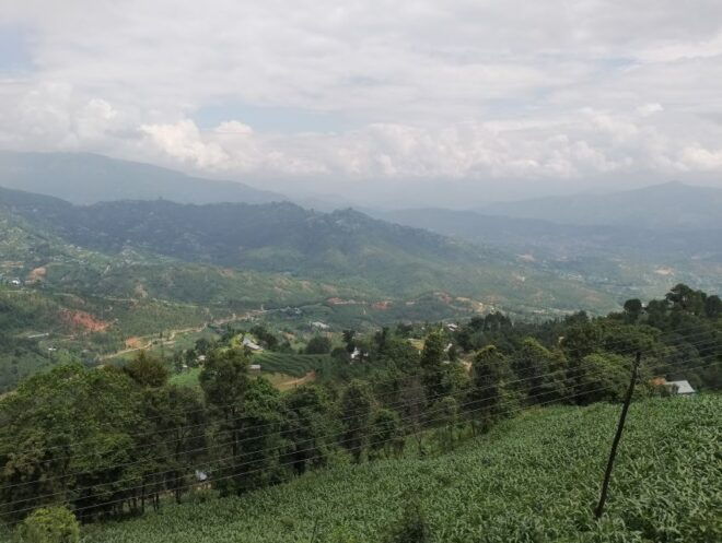 2 Night 3 Days Kalinchowk Trek From Kathmandu - Itinerary - Day 2: Kuri Village to Kalinchowk Temple and Back