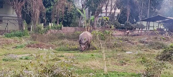 2 Night 3 Days Safari Tour in Chitwan National Park - Questions You May Have