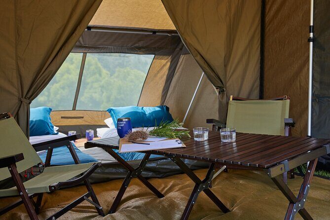 2 Night Rainforest Glamping Adventure near Byron Bay - Good To Know