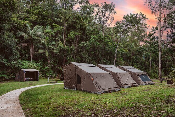 2 Night Rainforest Glamping Adventure near Byron Bay - The Itinerary: What to Expect