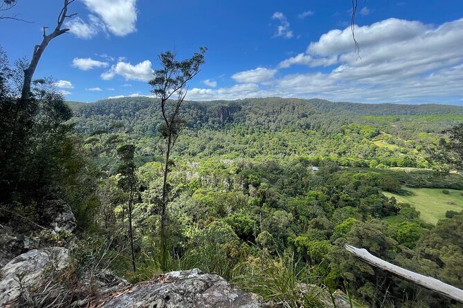 2 Night Rainforest Glamping Adventure near Byron Bay - Practical Details & Considerations