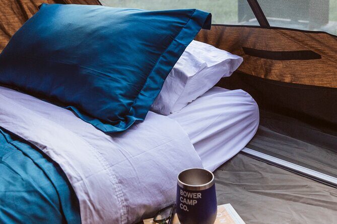 2 Night Rainforest Glamping Adventure near Byron Bay - Who Is This Experience Best For?