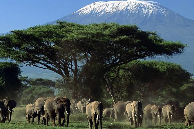 2 Nights 3 Days Amboseli National Park - Good To Know