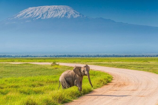 2 Nights 3 Days Amboseli National Park - Booking and Reservation Information