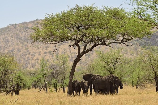 2 Nights 3 Days Amboseli National Park - Frequently Asked Questions