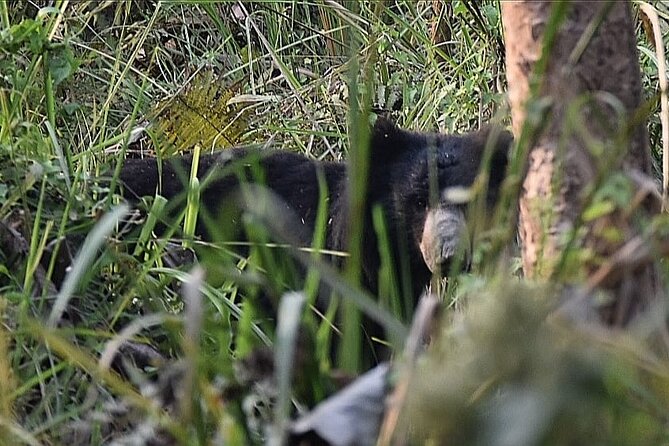 2 Nights 3 Days Chitwan Jeep Safari Package - Itinerary Overview