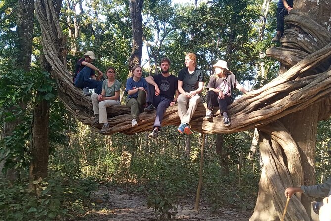 2 Nights 3 Days Chitwan Jeep Safari Package - Accommodation Options