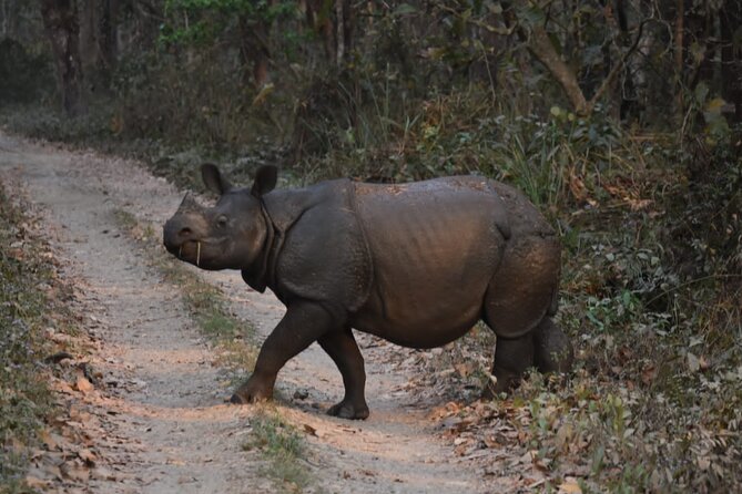2 Nights 3 Days Chitwan Jeep Safari Package - Terms and Conditions