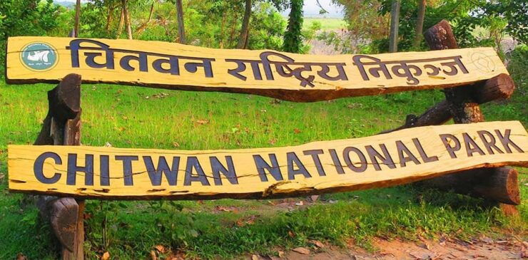 2 Nights 3 Days Chitwan Jungle Safari Package All Inclusive - Experience Highlights