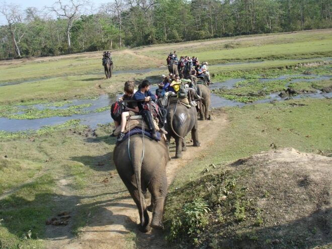 2 Nights 3 Days Chitwan Jungle Safari Package All Inclusive - Detailed Itinerary