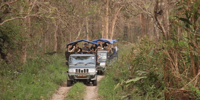2 Nights 3 Days Chitwan Jungle Safari Package All Inclusive - Inclusions