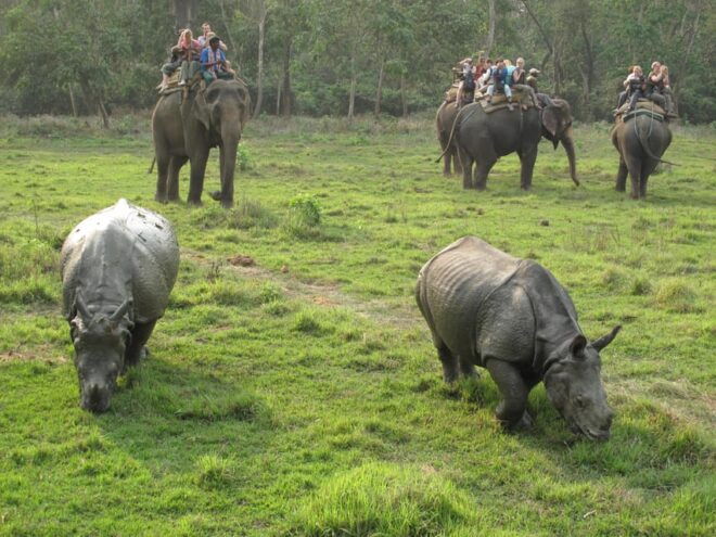 2 Nights 3 Days Chitwan Jungle Safari Package All Inclusive - Exclusions