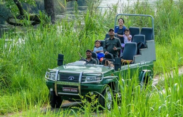2 Nights 3 Days Chitwan Jungle Safari Package All Inclusive - Questions You May Have