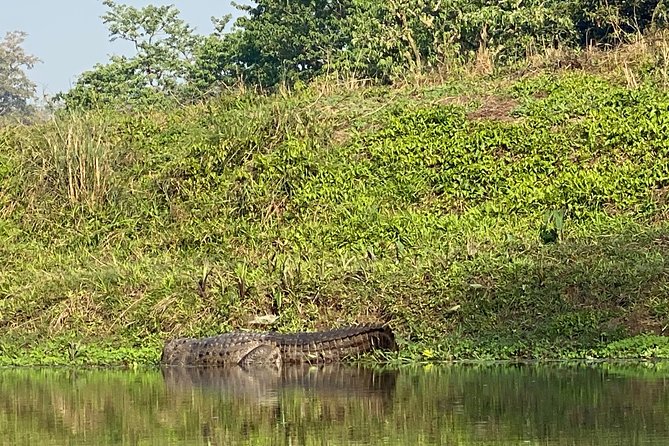 2 Nights 3 Days Chitwan Safari Tour From Kathmandu or Pokhara - Itinerary Overview